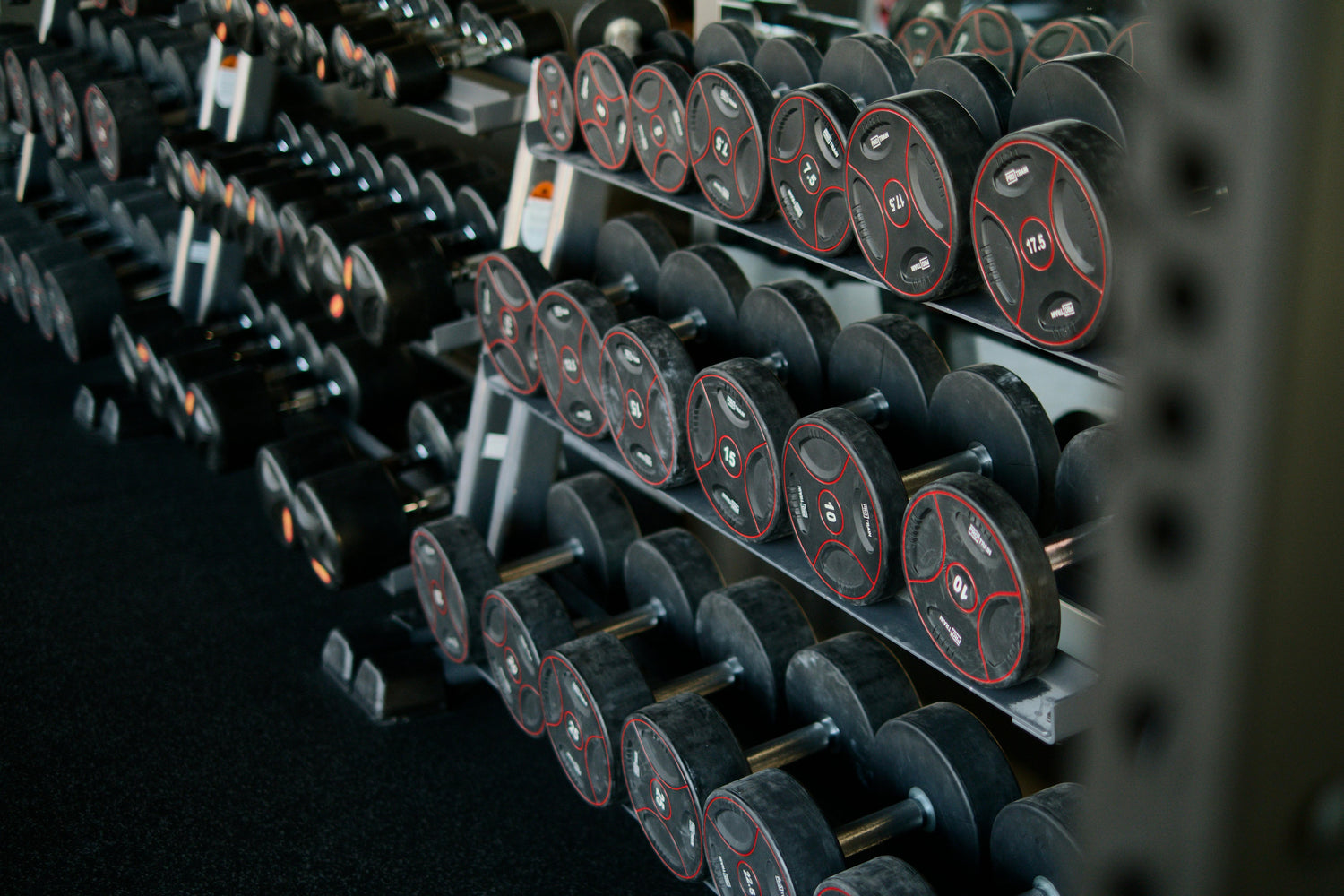 Dumbbells/Kettlebells