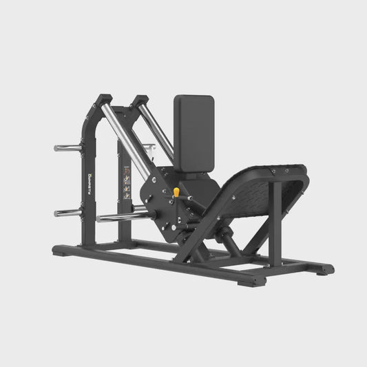 Seated Hack Squat