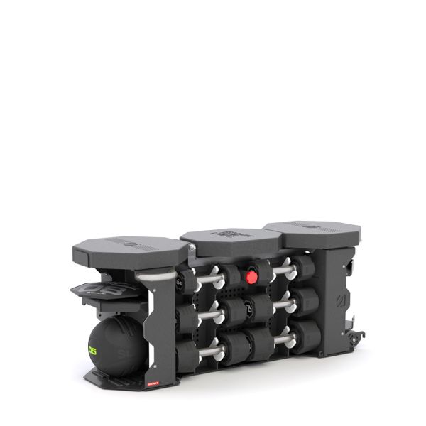 Strongbox with Dumbbells